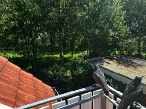 12_Balkon-1_Groß (IMG_0670)