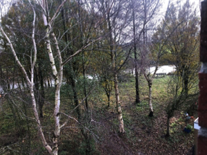 31_Umgebung-5_Blick auf die Harle_Groß (IMG_1937)