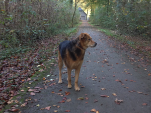 Sally-quer_21.09.2024_IMG_0109